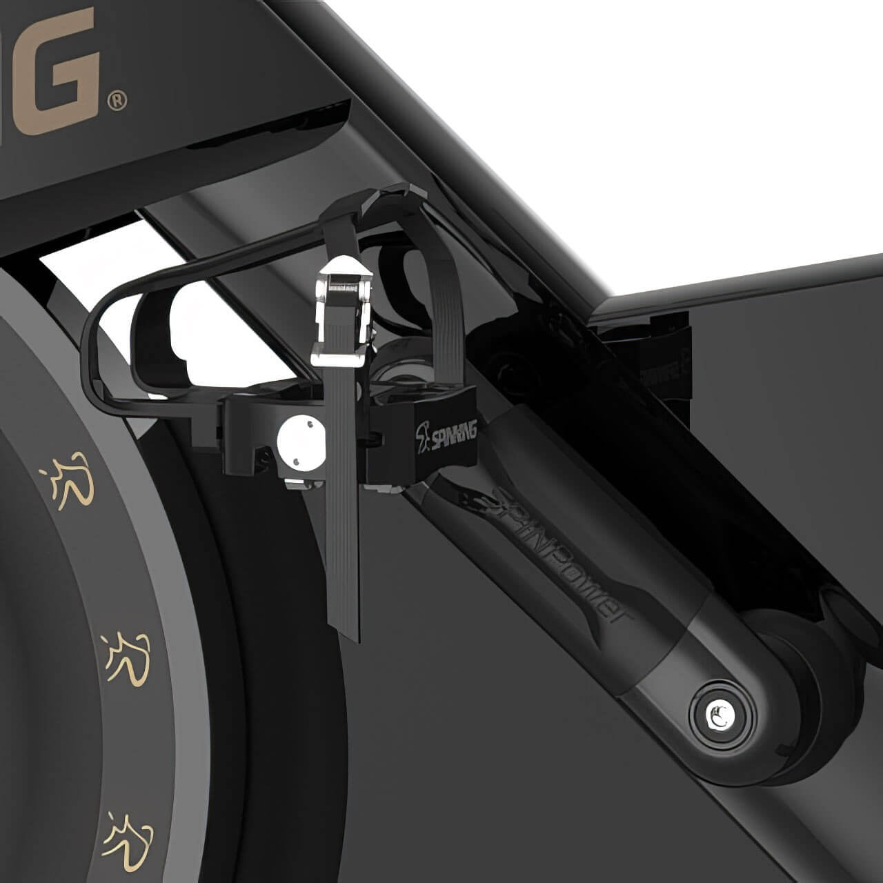 Chrono® Original Indoor Spinning Bike